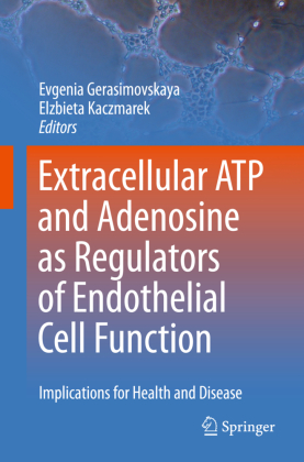 Extracellular ATP and adenosine as regulators of endothelial cell function 