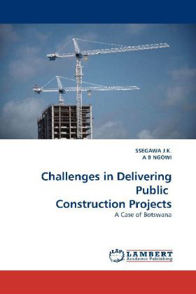 Challenges in Delivering Public Construction Projects 