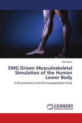 EMG Driven Musculoskeletal Simulation of the Human Lower Body 