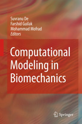 Computational Modeling in Biomechanics 