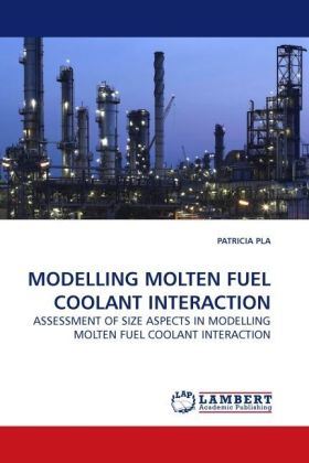 MODELLING MOLTEN FUEL COOLANT INTERACTION 