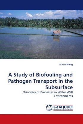 A Study of Biofouling and Pathogen Transport in the Subsurface 