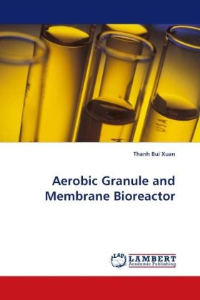 Aerobic Granule and Membrane Bioreactor 