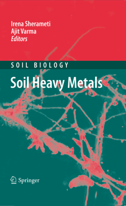 Soil Heavy Metals 