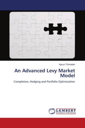 An Advanced Levy Market Model 