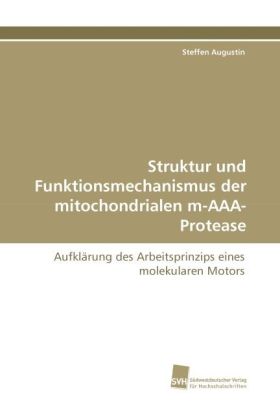 Struktur und Funktionsmechanismus der mitochondrialen m-AAA-Protease 