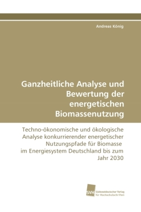 Ganzheitliche Analyse und Bewertung der energetischen Biomassenutzung 