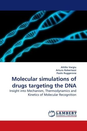 Molecular simulations of drugs targeting the DNA 