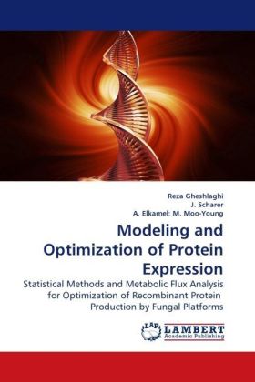 Modeling and Optimization of Protein Expression 