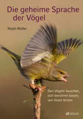 kein Cover