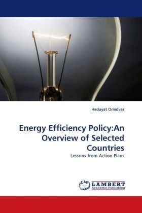 Energy Efficiency Policy:An Overview of Selected Countries 