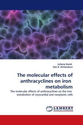 The molecular effects of anthracyclines on iron metabolism 