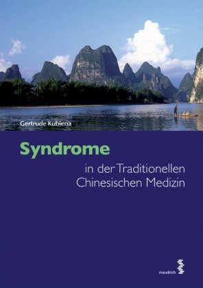 Syndrome in der Traditionellen Chinesischen Medizin 