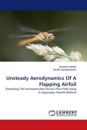 Unsteady Aerodynamics Of A Flapping Airfoil 