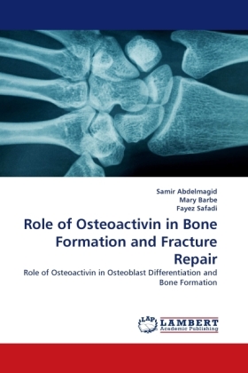 Role of Osteoactivin in Bone Formation and Fracture Repair 