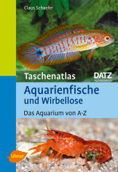 Aquarienfische und Wirbellose