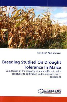 Breeding Studied On Drought Tolerance In Maize 
