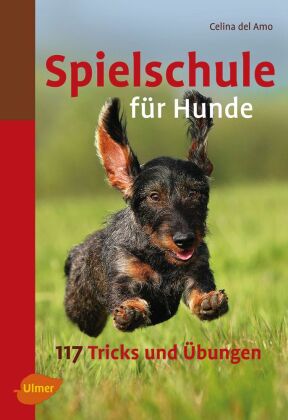 Spielschule für Hunde 