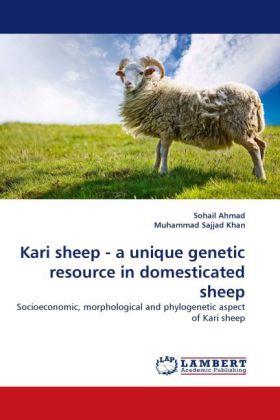 Kari sheep - a unique genetic resource in domesticated sheep 