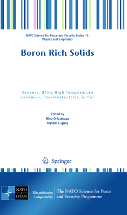 Boron Rich Solids 