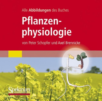 Pflanzenphysiologie, 1 CD-ROM 