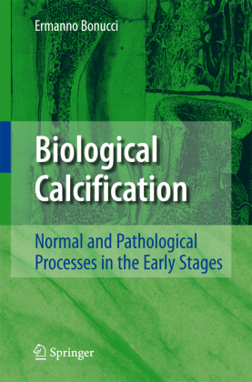 Biological Calcification 