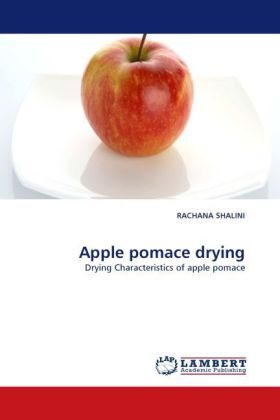 Apple pomace drying 