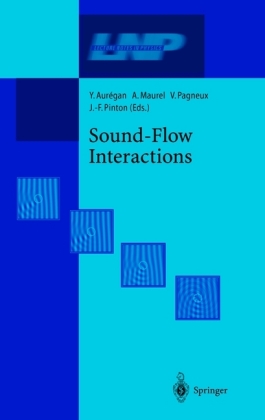 Sound-Flow Interactions 