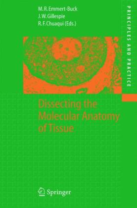 Dissecting the Molecular Anatomy of Tissue 