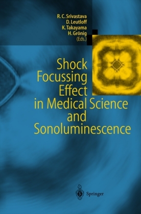 Shock Focussing Effect in Medical Science and Sonoluminescence 