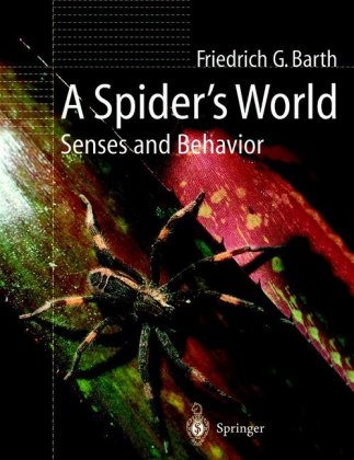 A Spider's World 