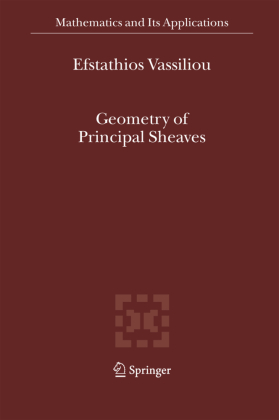 Geometry of Principal Sheaves 