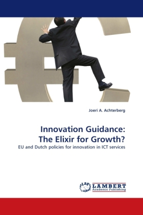 Innovation Guidance: The Elixir for Growth? 