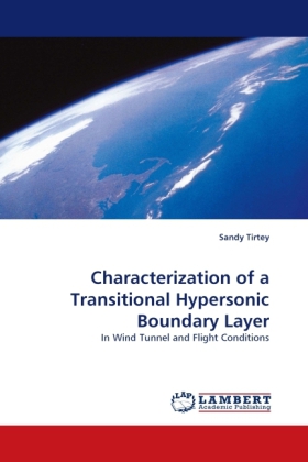 Characterization of a Transitional Hypersonic Boundary Layer 
