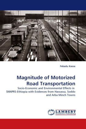 Magnitude of Motorized Road Transportation 