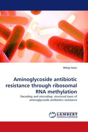 Aminoglycoside antibiotic resistance through ribosomal RNA methylation 