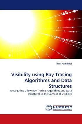 Visibility using Ray Tracing Algorithms and Data Structures 