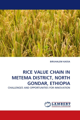 RICE VALUE CHAIN IN METEMA DISTRICT, NORTH GONDAR, ETHIOPIA 