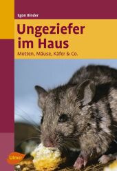 kein Cover