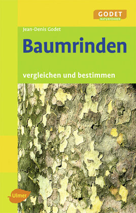 Baumrinden 