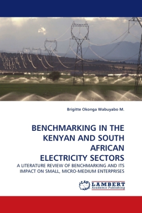 BENCHMARKING IN THE KENYAN AND SOUTH AFRICAN ELECTRICITY SECTORS 