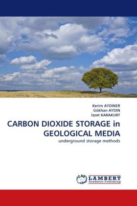 CARBON DIOXIDE STORAGE in GEOLOGICAL MEDIA 