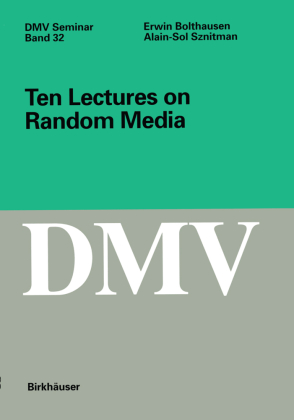 Ten Lectures on Random Media 