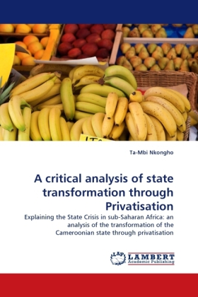 A critical analysis of state transformation through Privatisation 