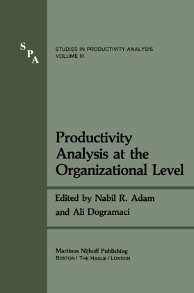 Productivity Analysis at the Organizational Level 