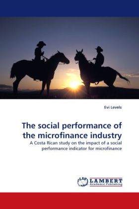 The social performance of the microfinance industry 