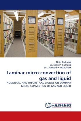 Laminar micro-convection of gas and liquid 