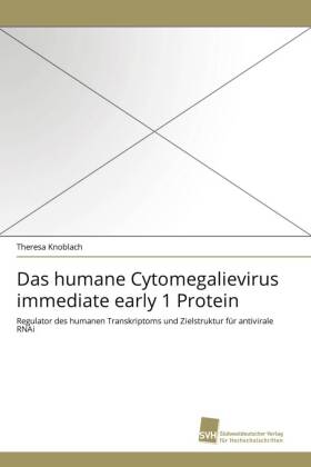 Das humane Cytomegalievirus immediate early 1 Protein 