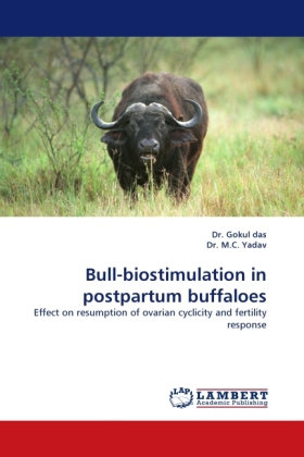 Bull-biostimulation in postpartum buffaloes 