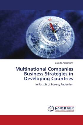 Multinational Companies Business Strategies in Developing Countries 